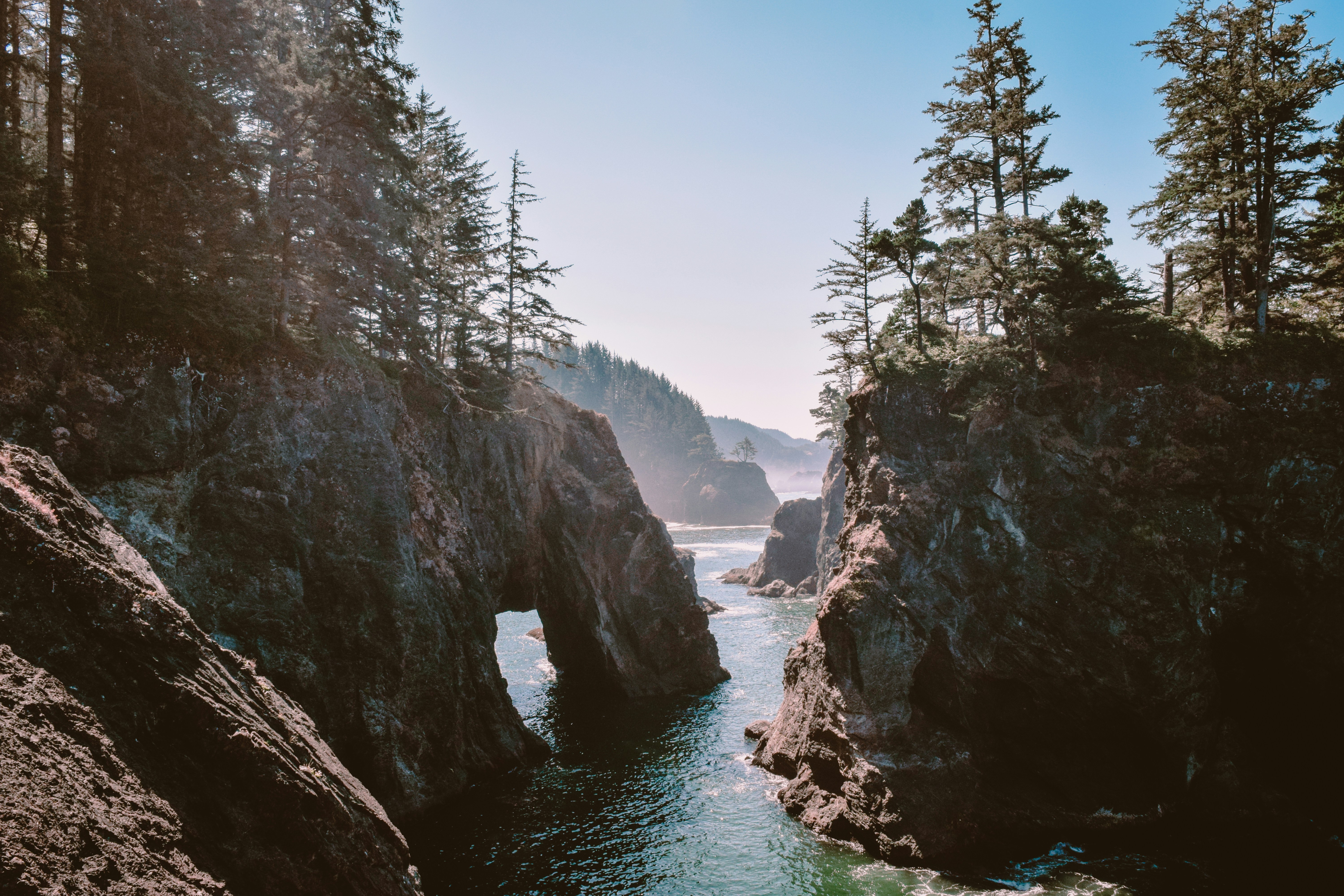 Rocky Oregon coastline with evergreen trees and a sea arch